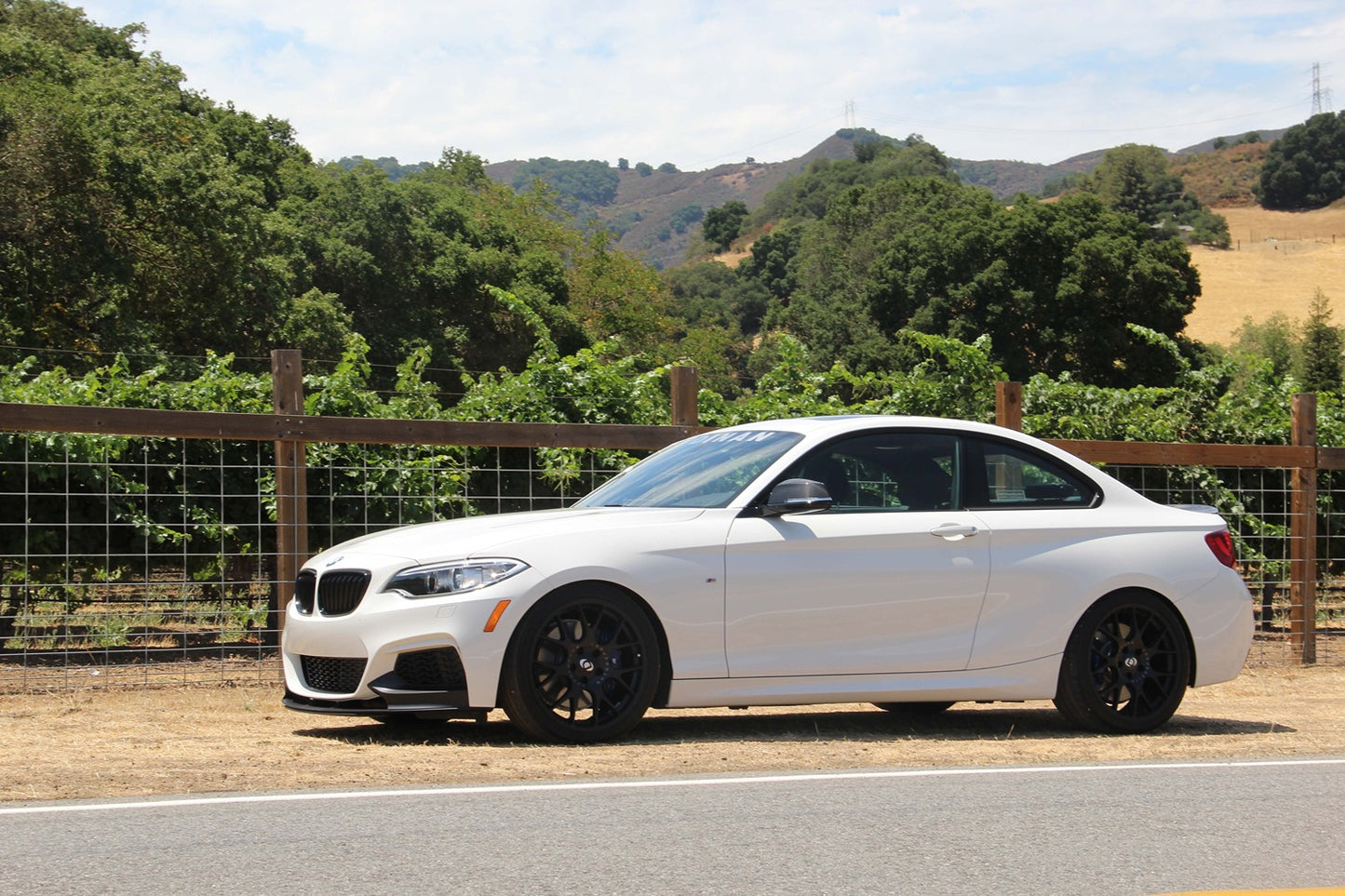 Dinan Performance Spring Set - 2014-2021 BMW M235i/M240i-Suspension-Silicon Valley Bimmer