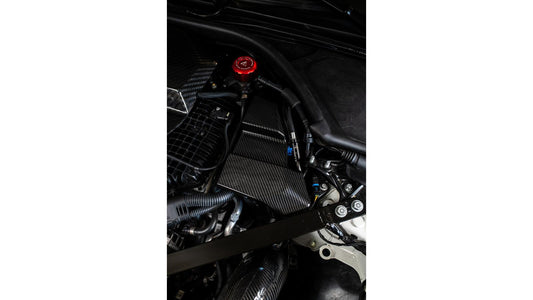 NWCarbon Haus G8X Dry Carbon DME/ECU Replacement Cover-Exterior-Silicon Valley Bimmer