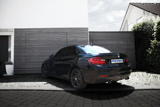 Eisenmann F22 M240i Performance Exhaust-Exhaust-Silicon Valley Bimmer