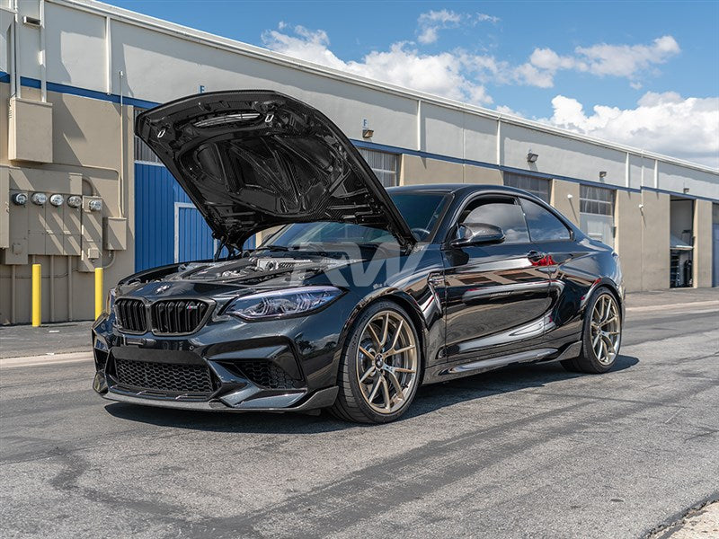 RW Carbon BMW F20 F22 F87 M2 GTS Style Carbon Fiber Hood