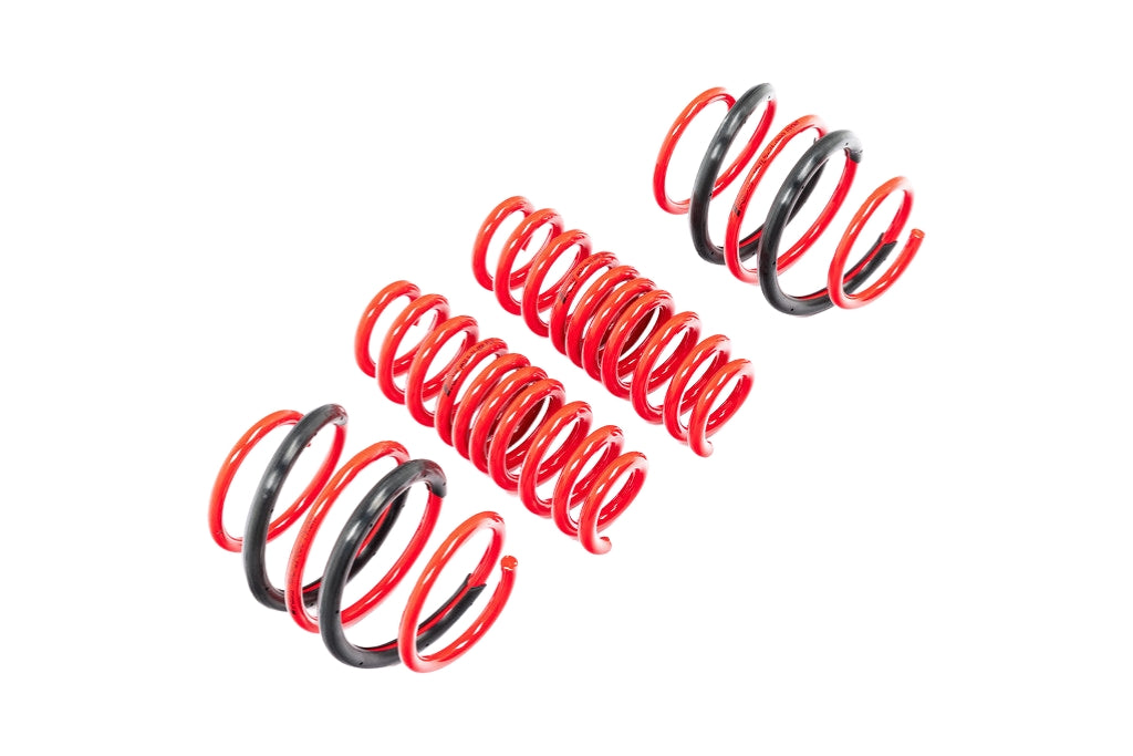 AST G8X M2 / M3 / M4 Lowering Spring Set