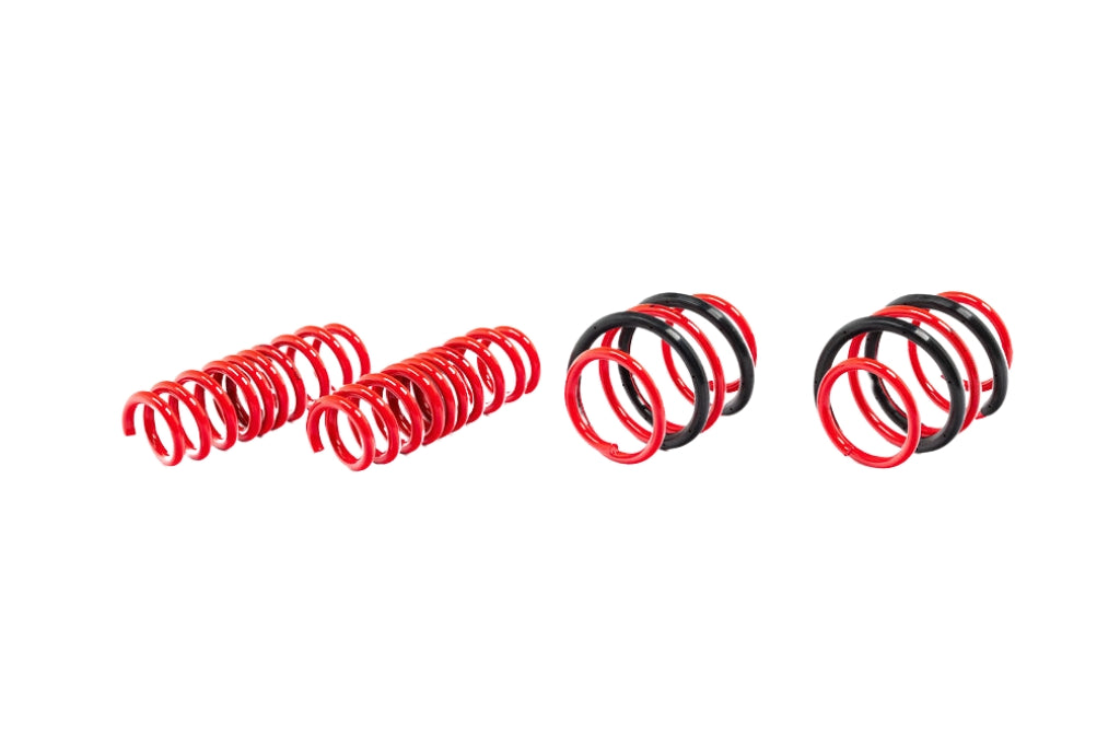 AST G8X M2 / M3 / M4 Lowering Spring Set