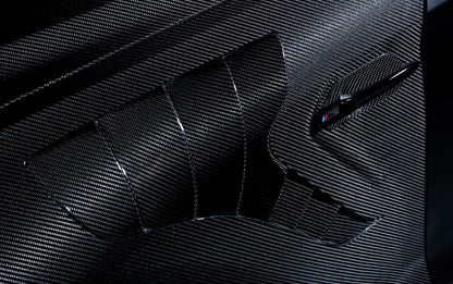 Alpha-N F87 M2 Carbon Fender Set