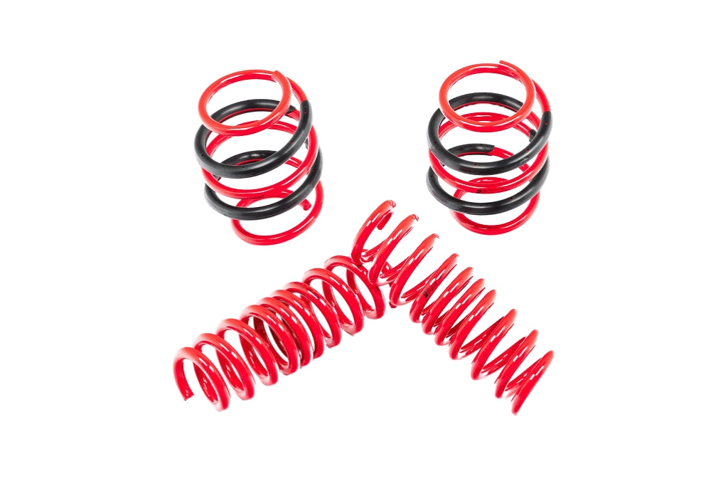 AST G8X M2 / M3 / M4 Lowering Spring Set