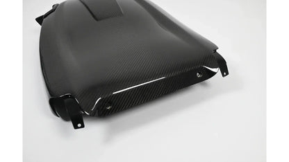 NWCarbon Haus G8X Dry Carbon Fiber Seat Back Replacement Set