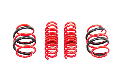 AST G8X M2 / M3 / M4 Lowering Spring Set