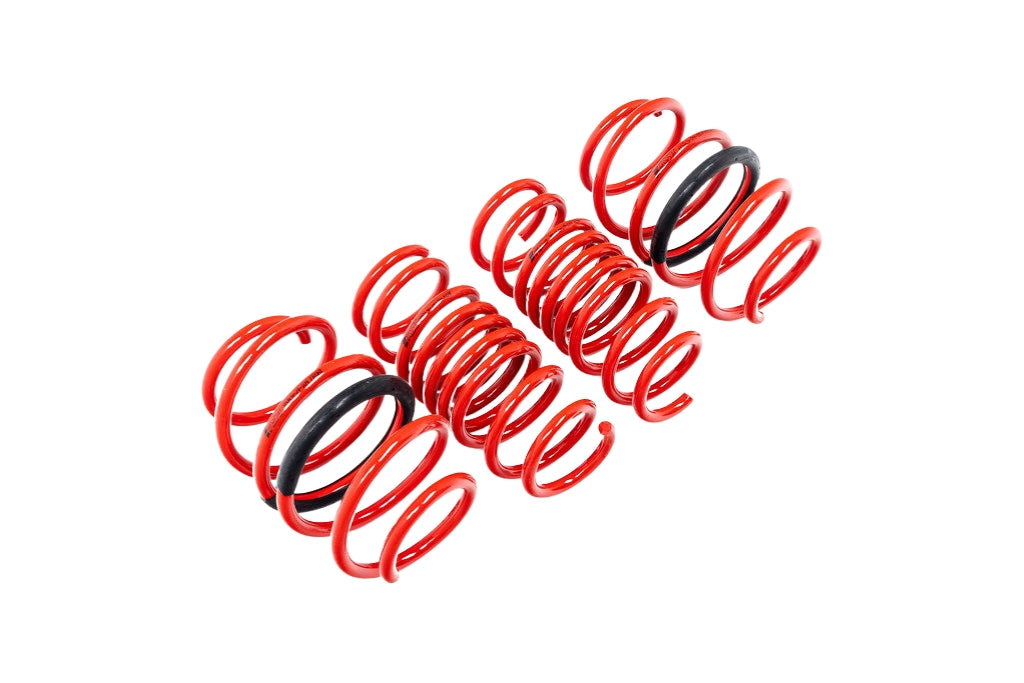 AST F97 X3M / F98 X4M Lowering Spring Set-Suspension-Silicon Valley Bimmer