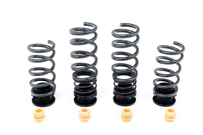 AST F9X X5M X6M / G0X X5 X6 Adjustable Lowering Spring Kit-Suspension-Silicon Valley Bimmer