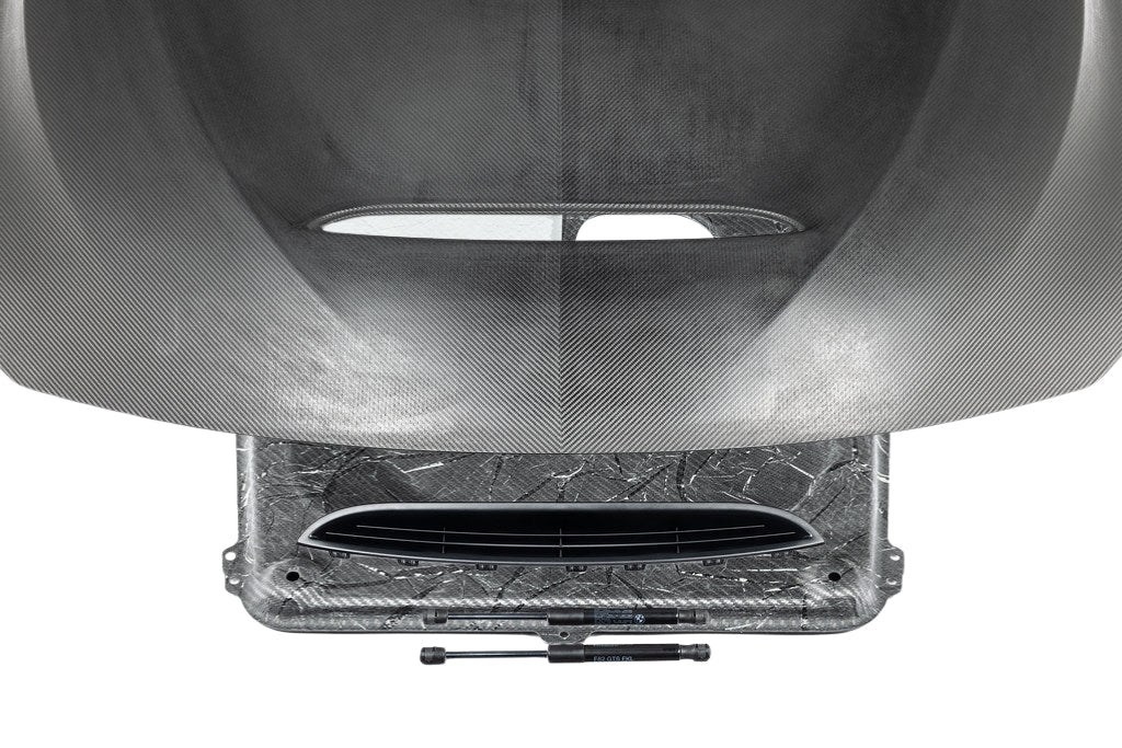 Alpha-N F82 M4 Carbon GTS Hood-Exterior-Silicon Valley Bimmer