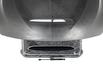 Alpha-N F82 M4 Carbon GTS Hood-Exterior-Silicon Valley Bimmer