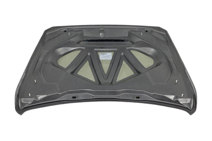 Alpha-N F82 M4 Carbon GTS Hood-Exterior-Silicon Valley Bimmer