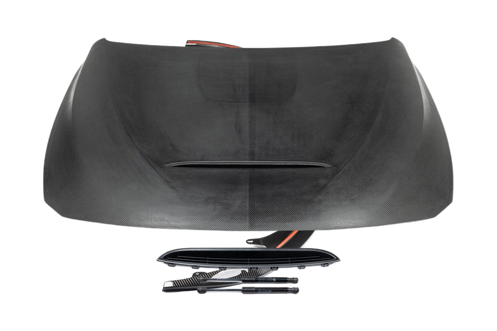 Alpha-N F82 M4 Carbon GTS Hood-Exterior-Silicon Valley Bimmer