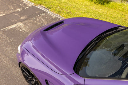 Alpha-N F82 M4 Carbon GTS Hood-Exterior-Silicon Valley Bimmer