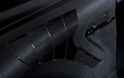 Alpha-N F87 M2 Carbon Fender Set-Exterior-Silicon Valley Bimmer