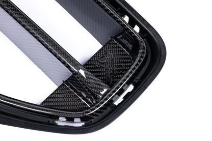 Alpha-N G87 M2 Carbon Front Grille-Exterior-Silicon Valley Bimmer