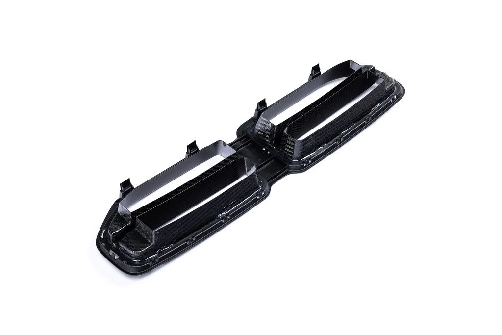 Alpha-N G87 M2 Carbon Front Grille-Exterior-Silicon Valley Bimmer