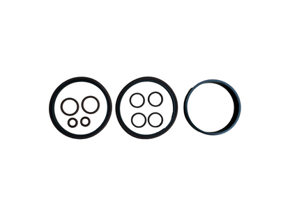 BMW M62TU VANOS Rebuild Kit-Maintenance-Silicon Valley Bimmer