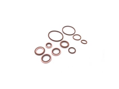 BMW S54 VANOS Rebuild Kit-Maintenance-Silicon Valley Bimmer