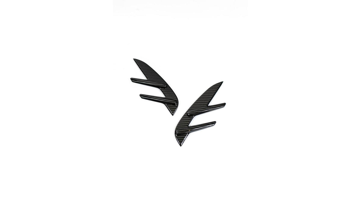 NWCarbon Haus G8X Dry Carbon Fiber Fender Trim Covers