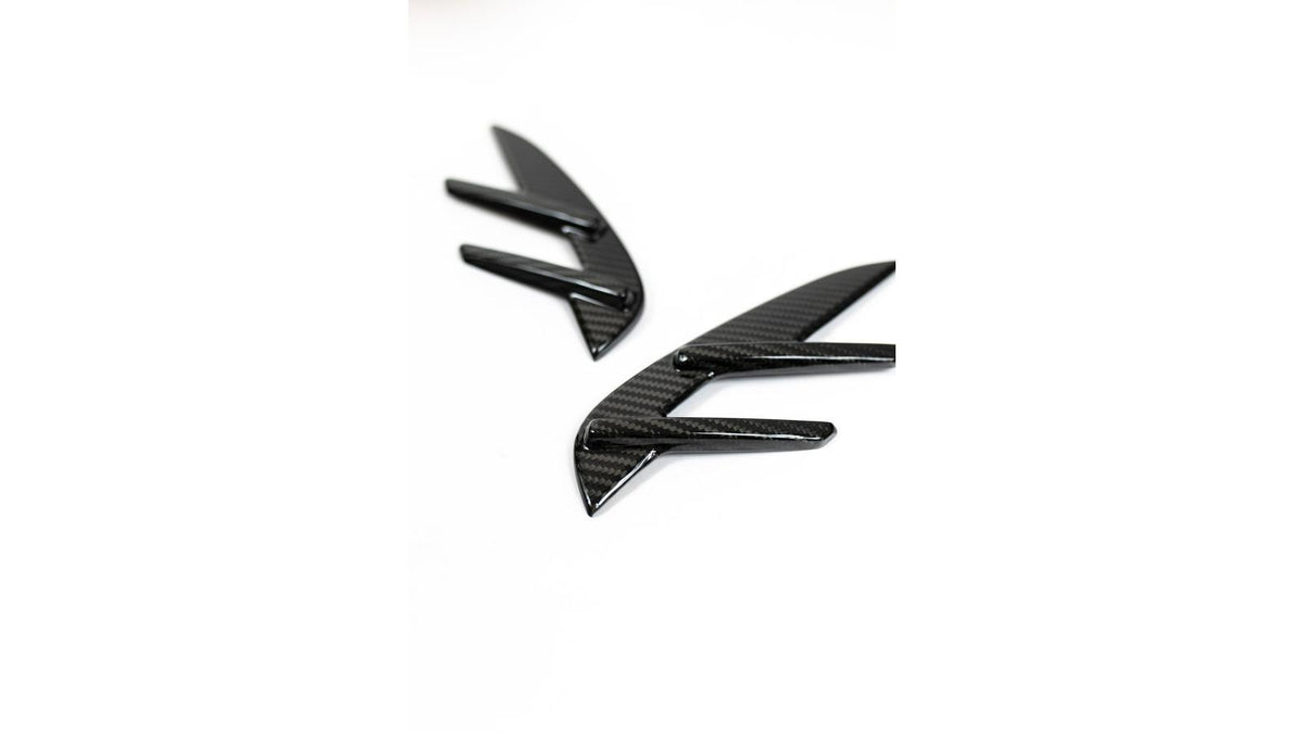 NWCarbon Haus G8X Dry Carbon Fiber Fender Trim Covers