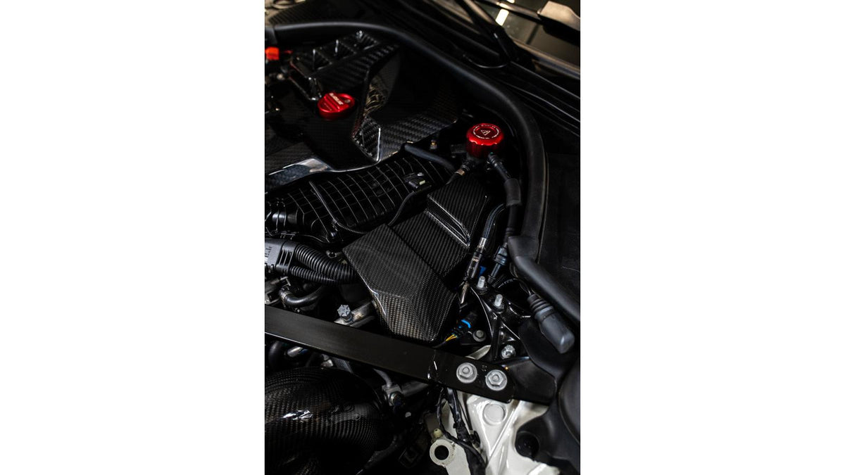 NWCarbon Haus G8X Dry Carbon DME/ECU Replacement Cover