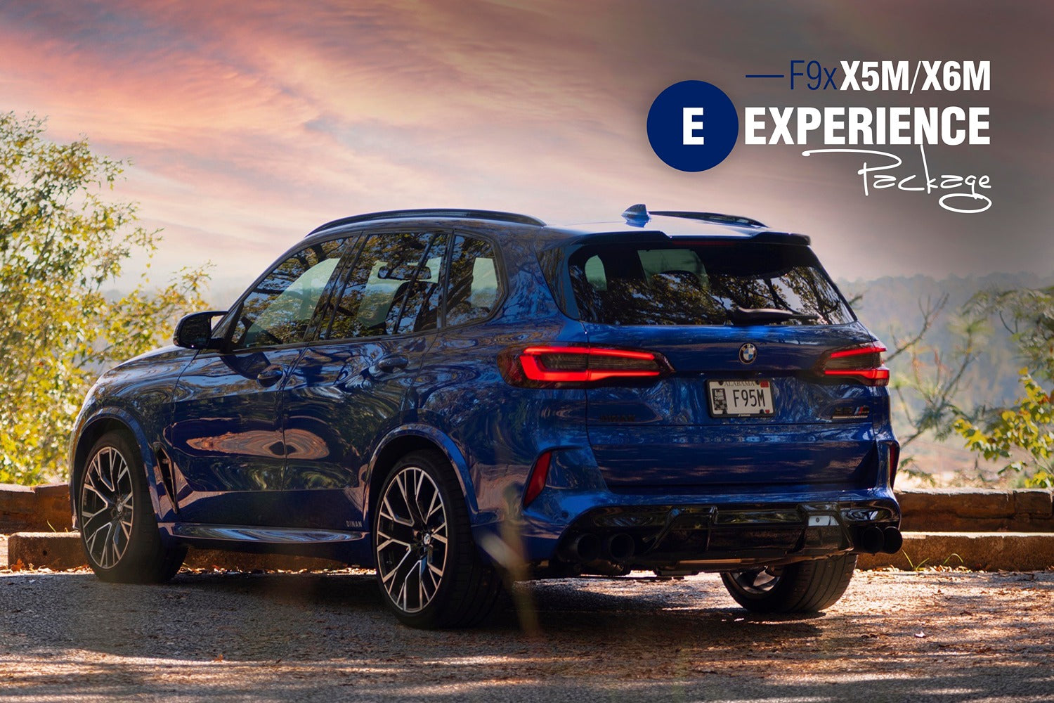 Dinan F9x X5M/X6M Experience Package (E)-Performance-Silicon Valley Bimmer