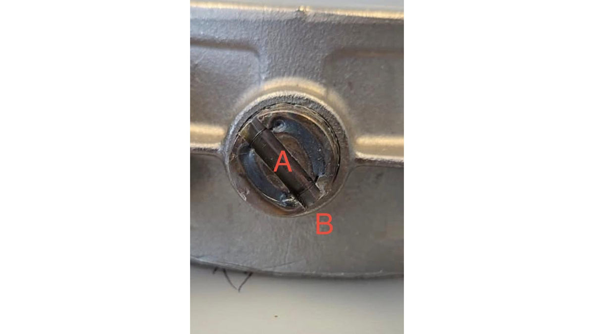 IRL Exhaust Valve Spring ( B )