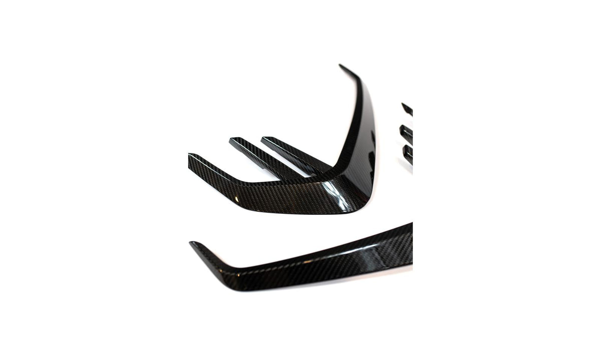 NWCarbon Haus G8X Dry Carbon Fiber Fender Accents
