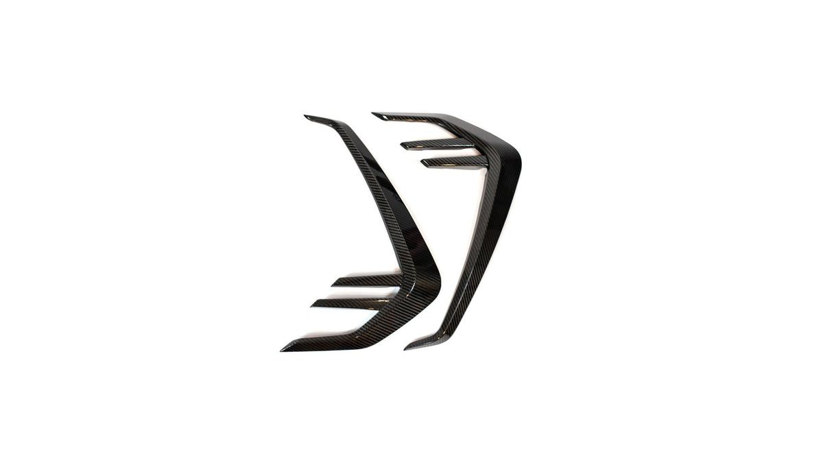 NWCarbon Haus G8X Dry Carbon Fiber Fender Accents