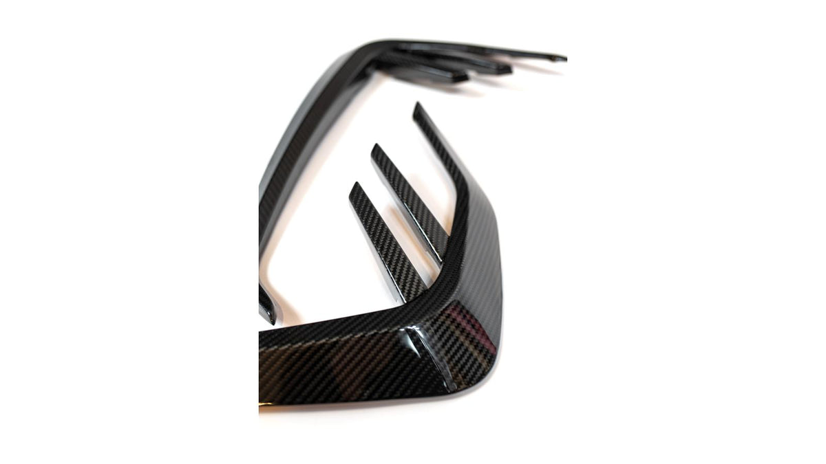 NWCarbon Haus G8X Dry Carbon Fiber Fender Accents