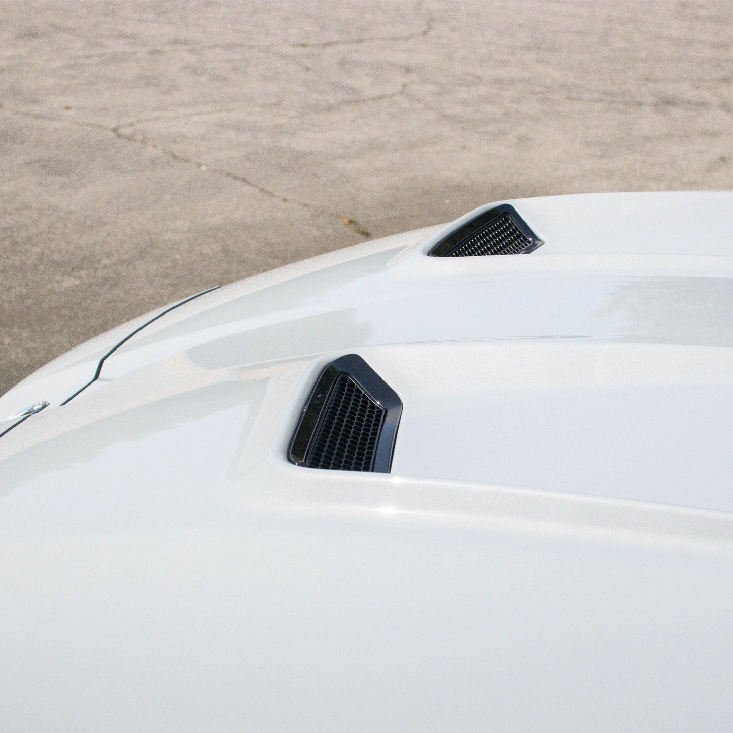 G8X OE+ Aluminum Hood-Exterior-Silicon Valley Bimmer