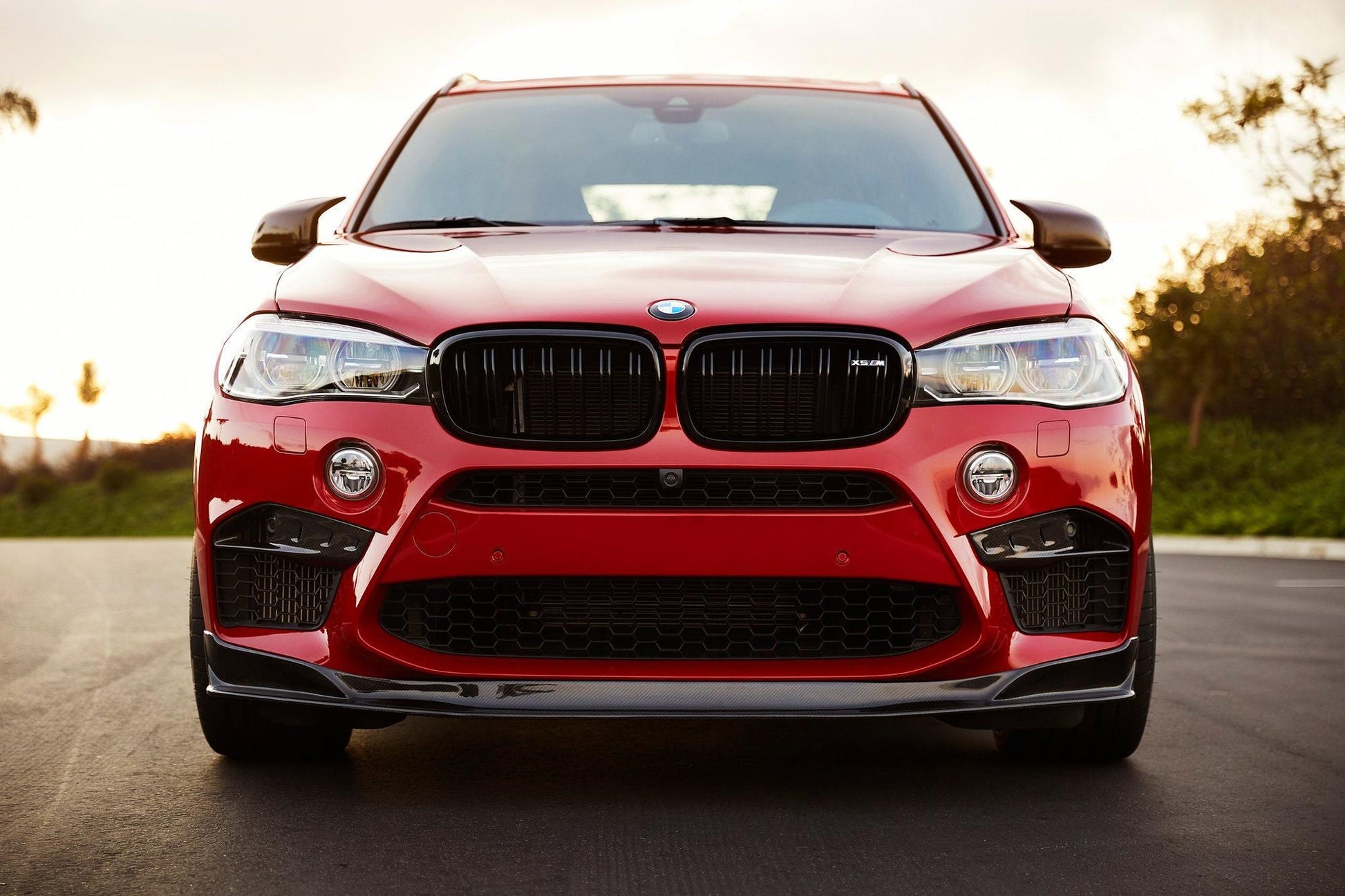 RKP F85 X5M / F86 X6M Carbon Bumper Insert Set-Exterior-Silicon Valley Bimmer