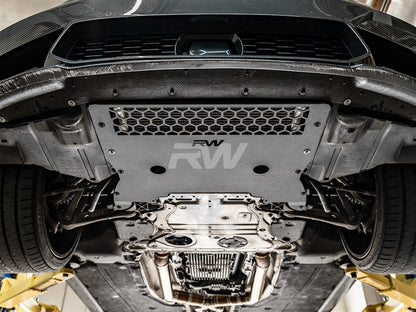 RW Carbon BMW F90 M5 Oil Cooler Guard-Exterior-Silicon Valley Bimmer