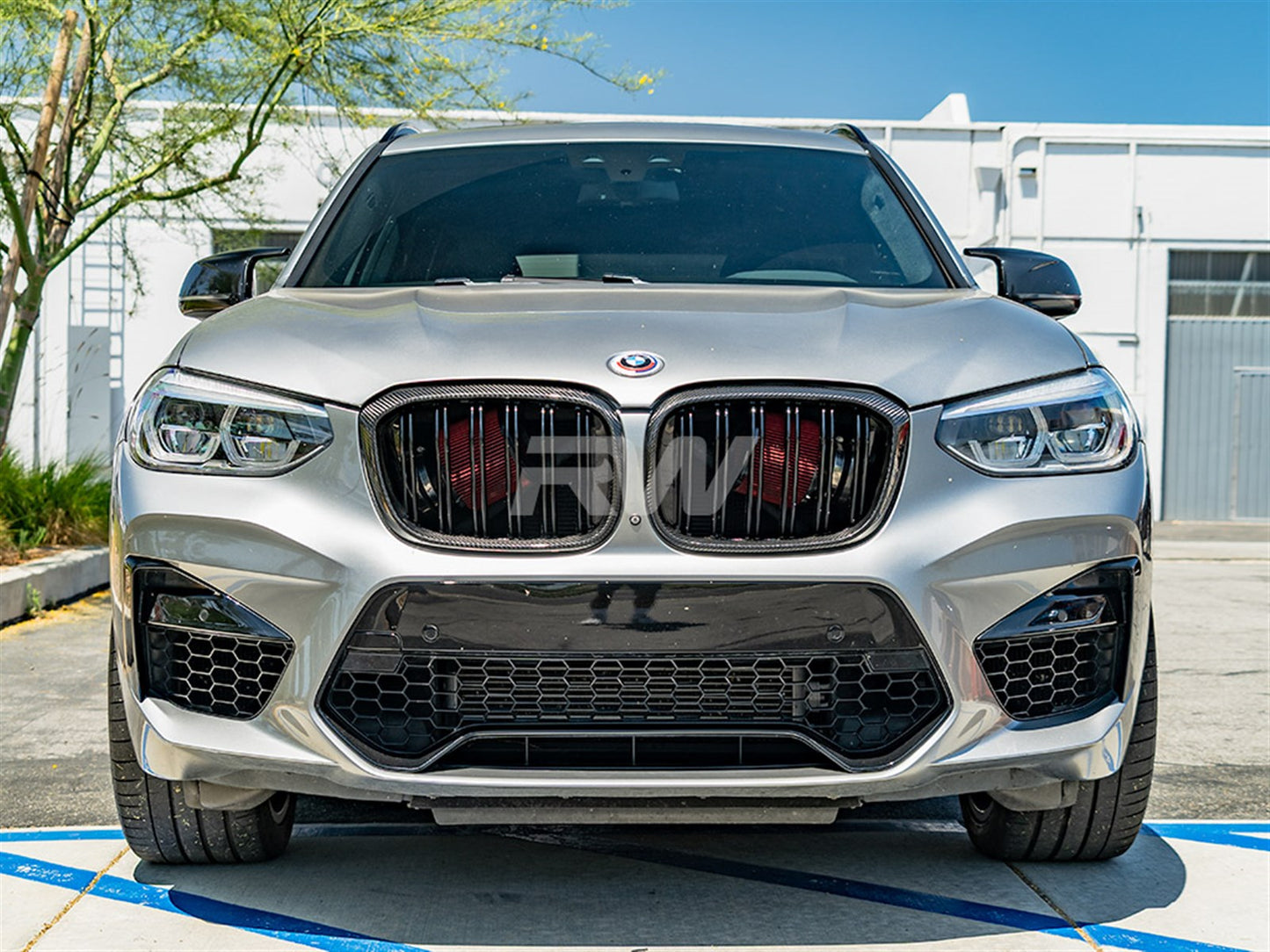 RW Carbon BMW G01 G02 F97 F98 Pre LCI Dual Slat CF Grilles-Exterior-Silicon Valley Bimmer