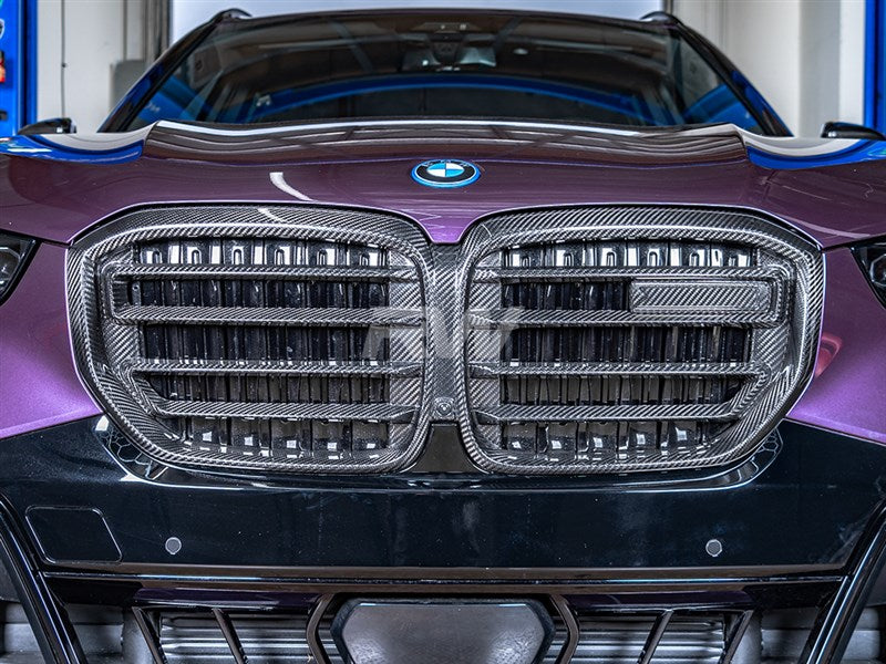 RW Carbon BMW G05 X5 LCI Carbon Fiber Grille-Exterior-Silicon Valley Bimmer