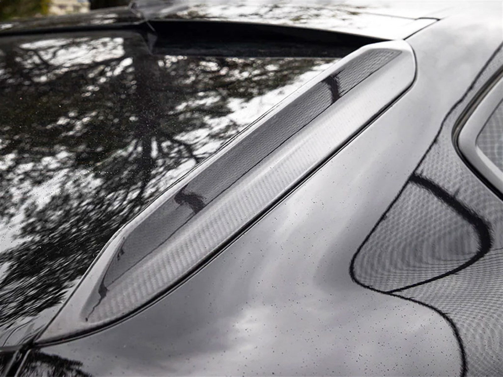 RW Carbon BMW G06 X6 F96 X6M Carbon Fiber Roof Trim-Exterior-Silicon Valley Bimmer