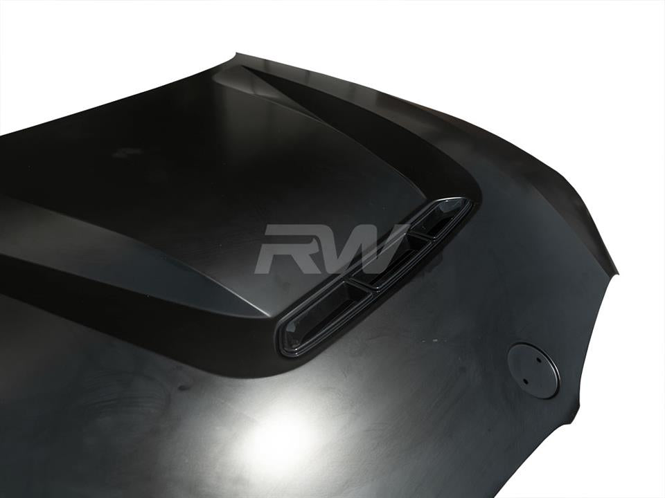 RW Carbon BMW G20 3-Series DTM Aluminum Hood-Exterior-Silicon Valley Bimmer