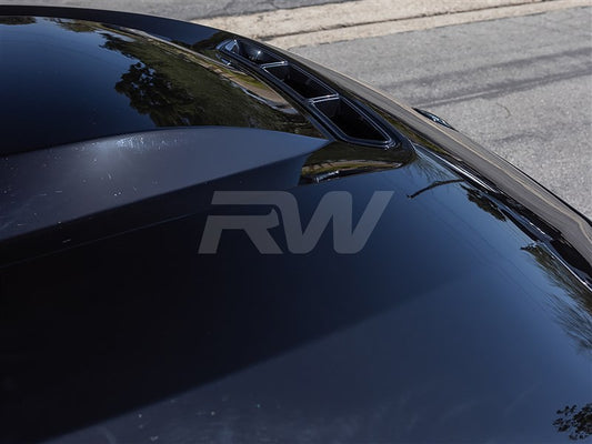 RW Carbon BMW G20 3-Series DTM Aluminum Hood-Exterior-Silicon Valley Bimmer