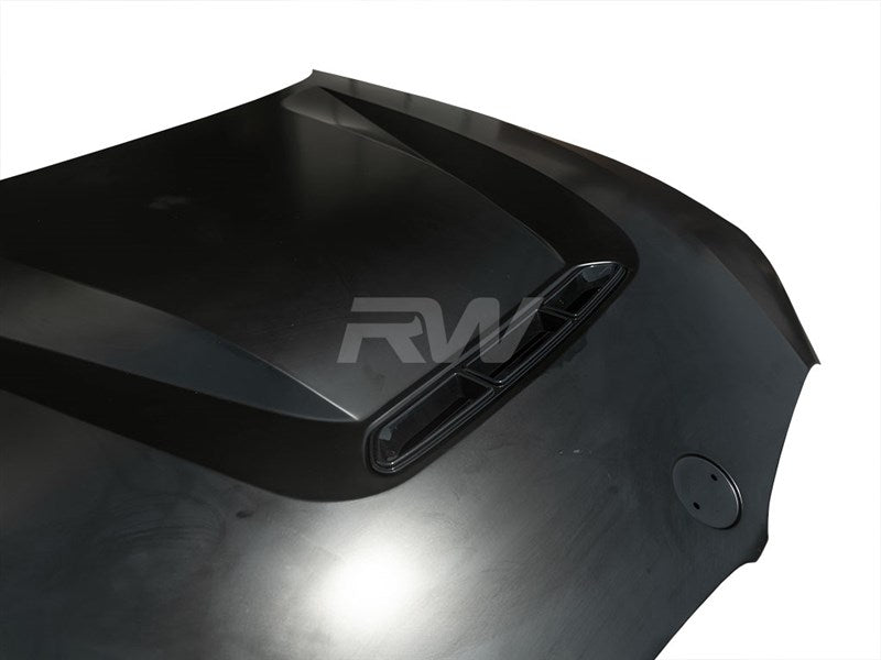 RW Carbon BMW G20 3-Series DTM Aluminum Hood-Exterior-Silicon Valley Bimmer