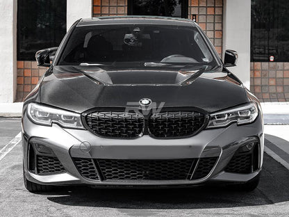 RW Carbon BMW G20 3-Series DTM Carbon Fiber Hood-Exterior-Silicon Valley Bimmer