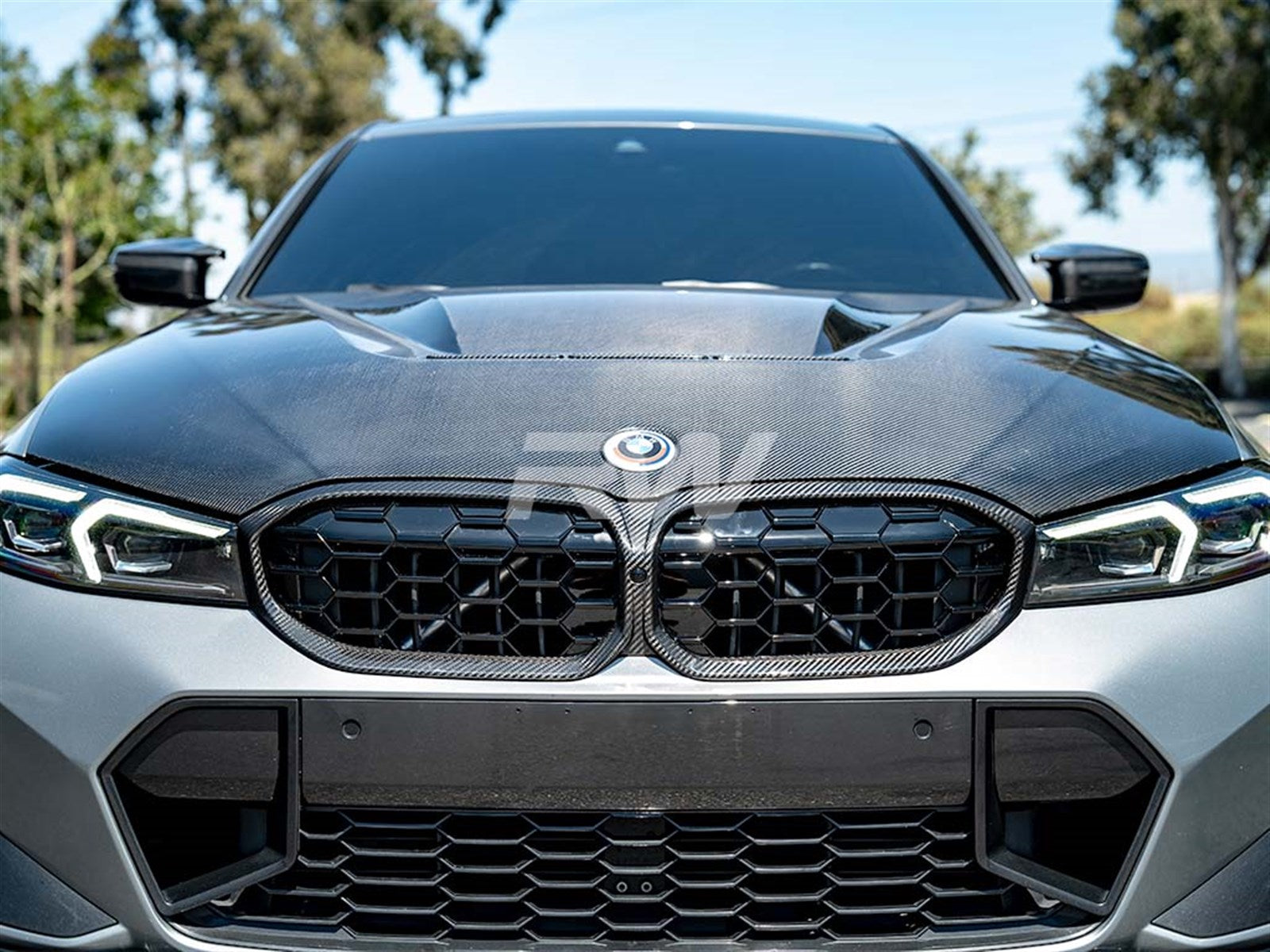 RW Carbon BMW G20 LCI Diamond Carbon Fiber Grille-Exterior-Silicon Valley Bimmer
