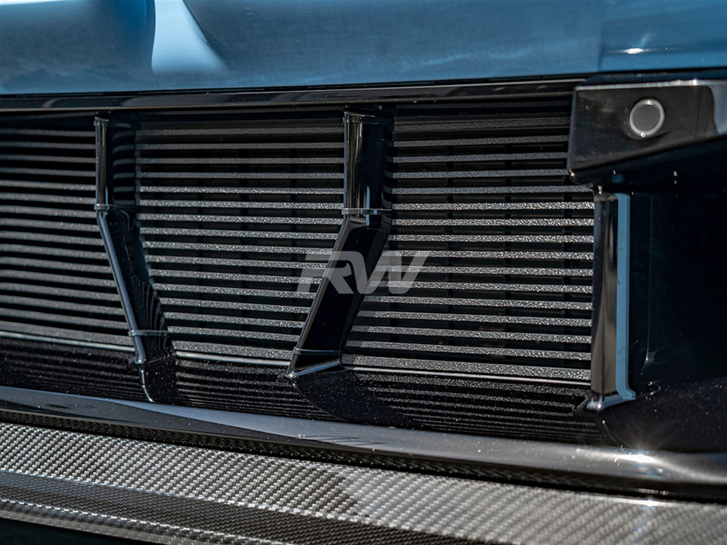 RW Carbon BMW G87 M2 ABS Mesh Lower Grille Guard-Exterior-Silicon Valley Bimmer