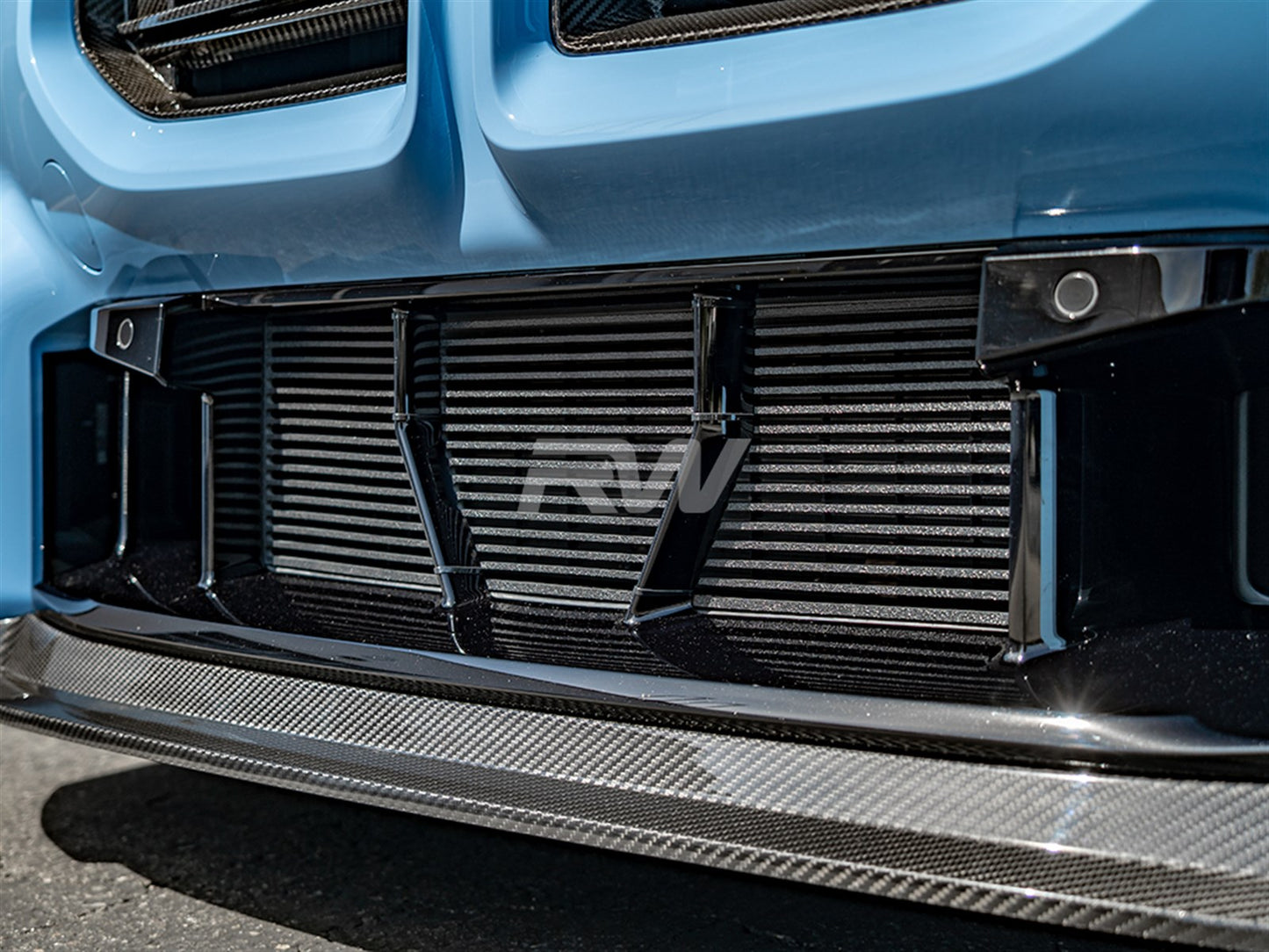 RW Carbon BMW G87 M2 ABS Mesh Lower Grille Guard-Exterior-Silicon Valley Bimmer