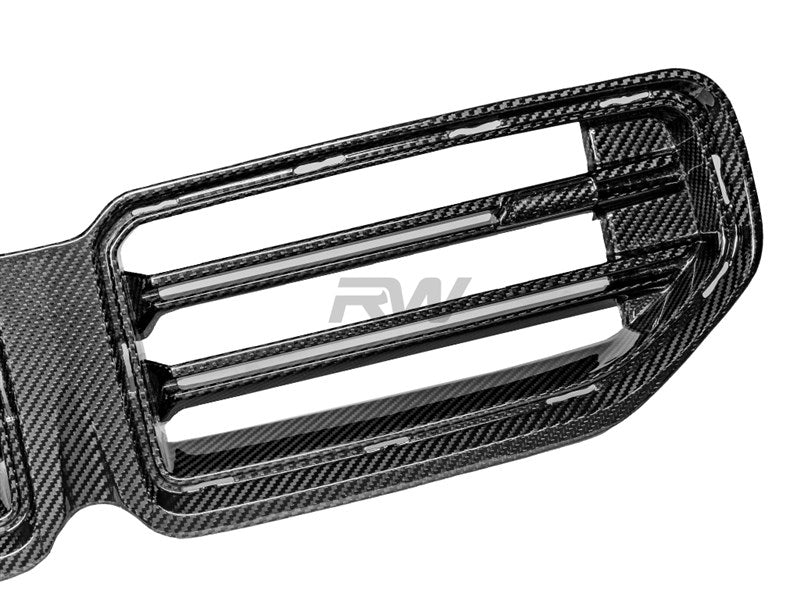 RW Carbon BMW G87 M2 OEM Style Carbon Fiber Grille-Exterior-Silicon Valley Bimmer