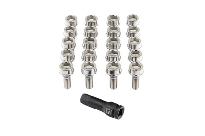 Rogue Engineering Titanium Allen Head Lug Bolt Set - M14x1.25-Wheels-Silicon Valley Bimmer