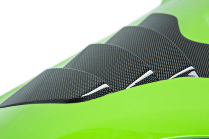 Alpha-N F87 M2 Carbon Fender Set