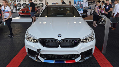 BMW M Performance F90 M5 Pre-LCI Carbon Front Grille Set