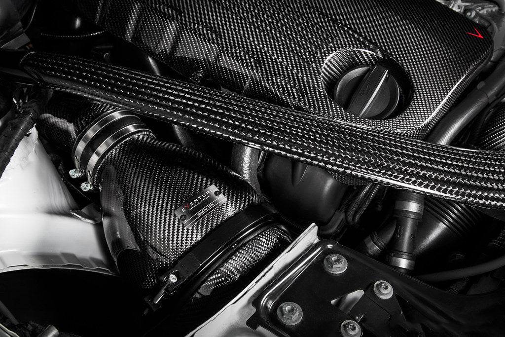 Eventuri BMW F8X M3 / M4 S55 Black Carbon Engine Cover