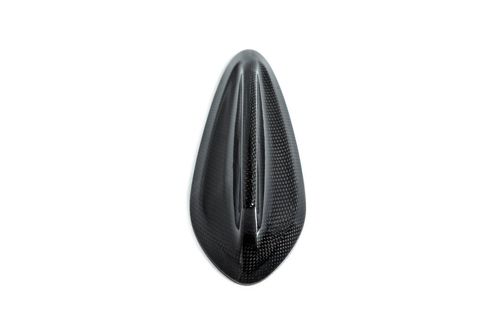 AutoTecknic G-Chassis Dry Carbon Roof Antenna Cover