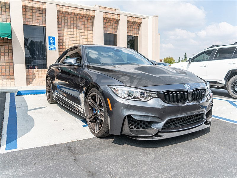RW Carbon BMW F80 M3 / F82 F83 M4 GTS Style Hood-Exterior-Silicon Valley Bimmer